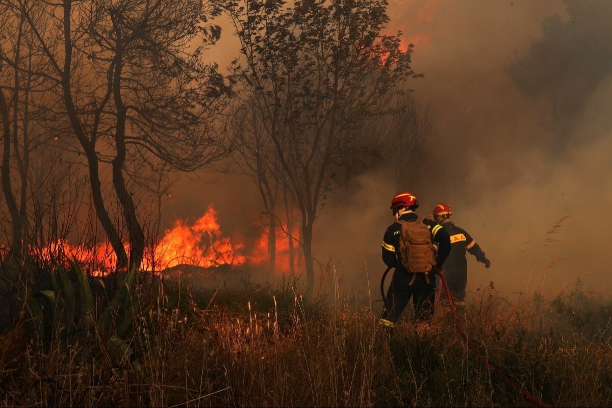 Yunanistan'da 24 saatte 52 orman yangını çıktı: İstanköy Adası tahliye edildi