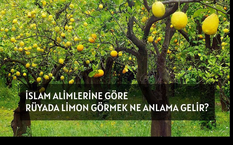 Ryada Limon Grmek Ne Anlama Gelir? | Rya Tabirleri