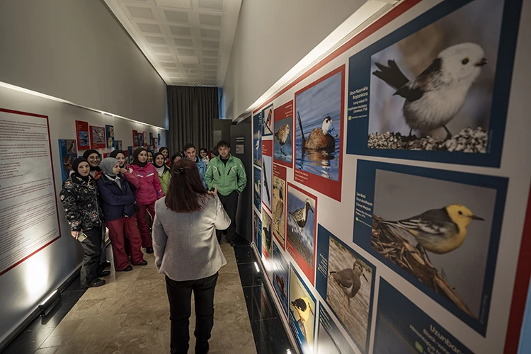 Türkiye’nin Doğal Zenginliği Erzurum’daki Sergide Buluştu