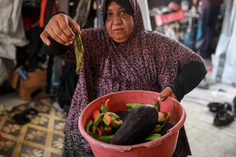 Manal Hamed, aşırı sıcaklık ve soğutma eksikliği nedeniyle tazecik sebzelerin ertesi gün bozulduğunu söylüyor.