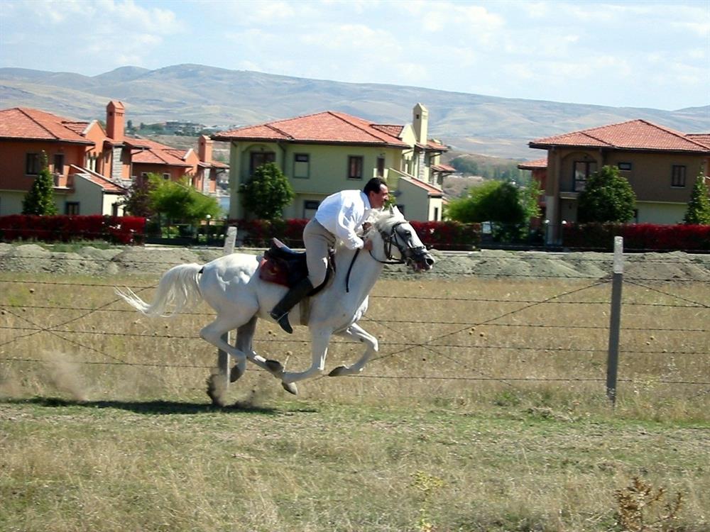 muhsin yazıcıoğlu at ile ilgili görsel sonucu