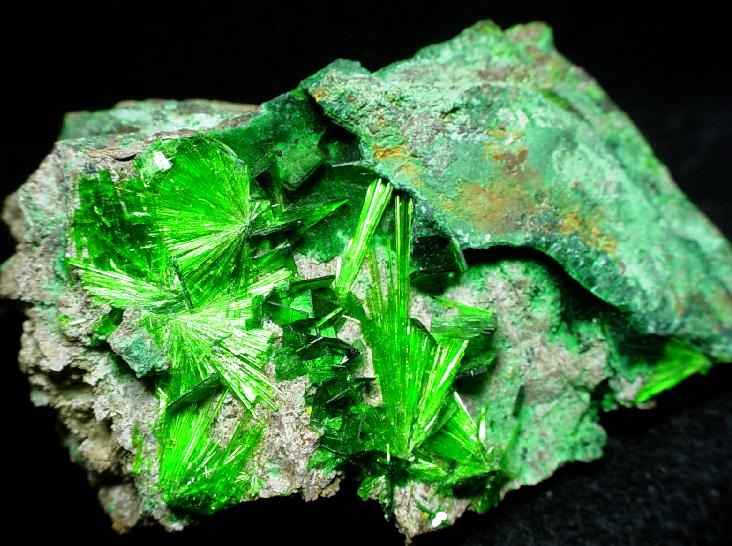 Uranyum madeni