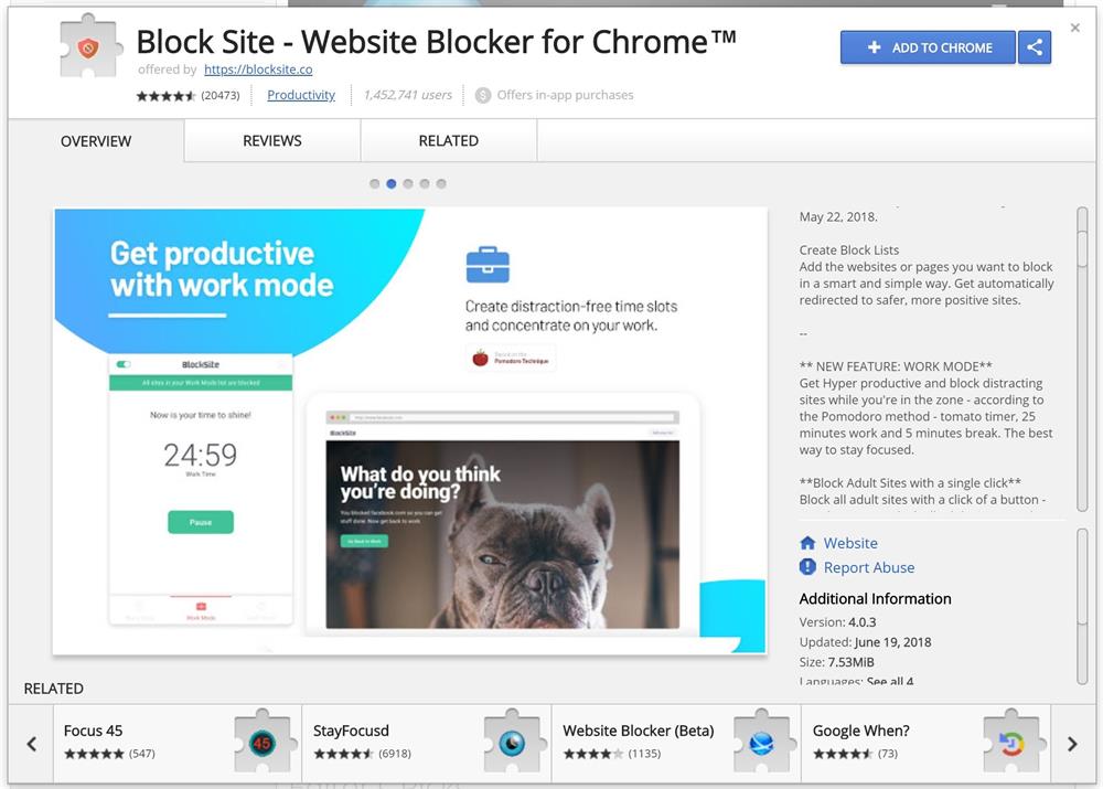 Diğer işlevsel Google uzantısı ise Block Site. Bu uygulama da web sayfalarına odaklanmayı kolaylaştıran nesneler içeriyor. 