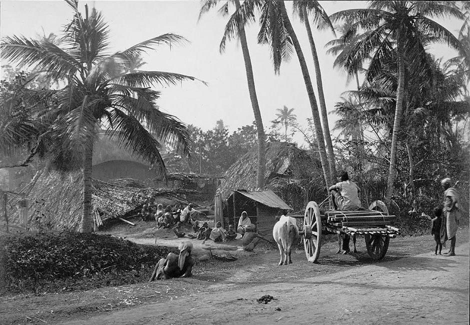 Palmiyelerden yapılan evlerde oturan gariban Bengal köylüleri.