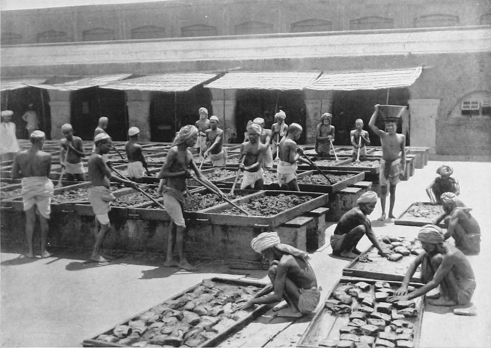 İngiliz sömürgesi döneminde afyon üretim tesislerinde çalıştırılan Hint köylüleri.