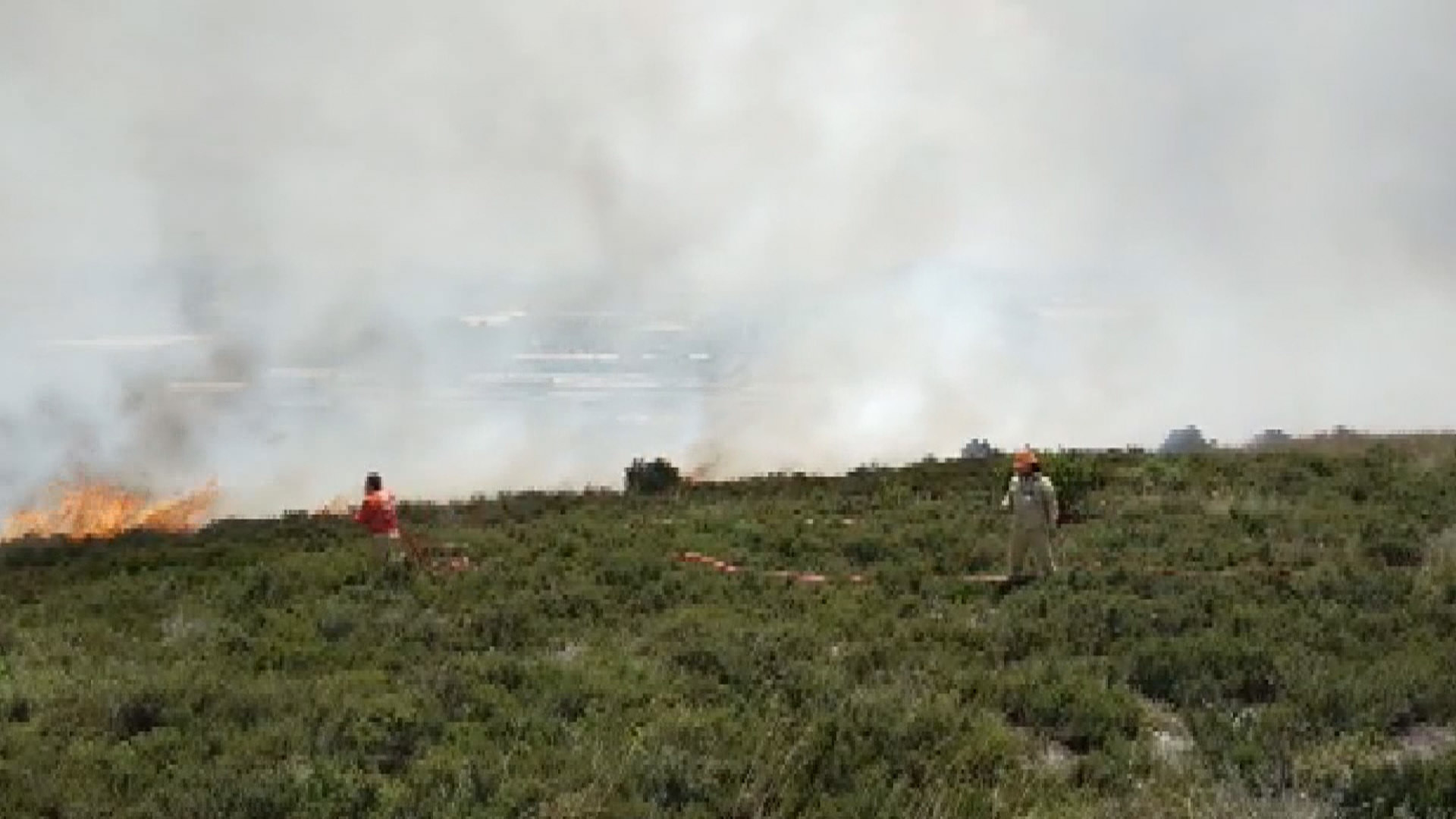 Tuzla'da otluk alanda yangın: Ekipler olay yerinde söndürme çalışmalarına başladı