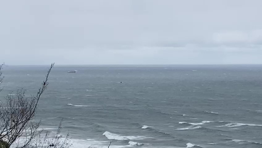 Bartın açıklarında Rus bandıralı bir kuru yük gemisi battı: 3 ölü