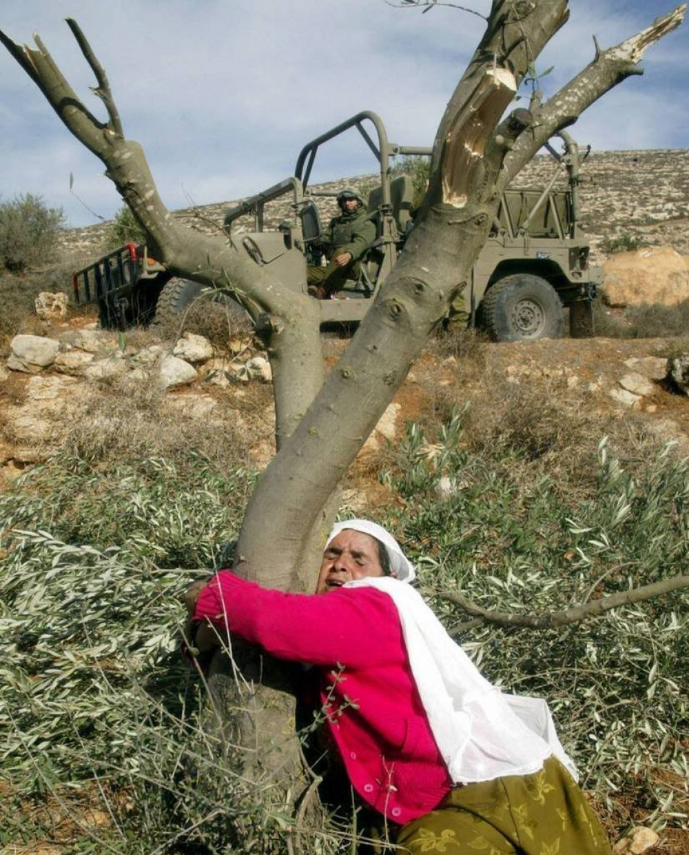 "Toprak", Filistinliler için sadece bir toprak parçası olmaktan çok daha fazla anlama geliyor.