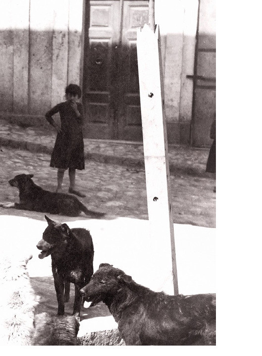 1800'lü yılların ortasına kadar bilhassa köpekler sokakta yaşar ve çoğunlukla çiğ et ya da sofra artıklarını yerdi. 